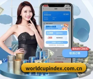 世界杯比分 APP