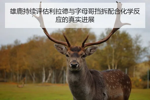 雄鹿持续评估利拉德与字母哥挡拆配合化学反应的真实进展